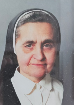 Iskolatörténet 3. - Az újraindulás előkészületei