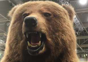 Vadászati Világkiállítás 6.a - 2021