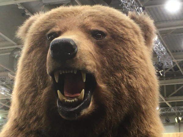 A Vadászati Világkiállításon jártunk